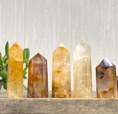 Golden healer, Spets