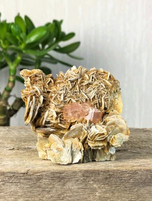 Apatit, Rosa på Matrix