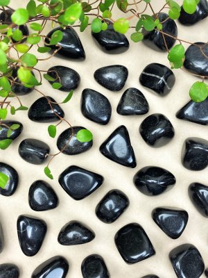 Shamanite, Black Calcite Tumbled Big pack