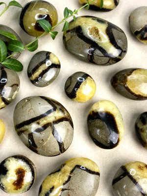 Septarian, Dragonstone Palm stones