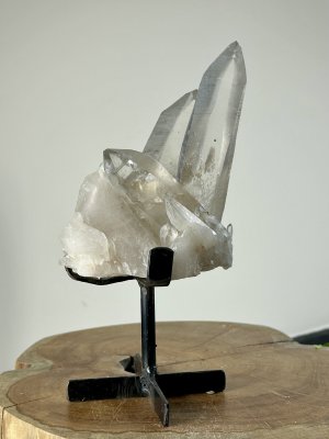 Lemurian, Kluster XL med Ställning