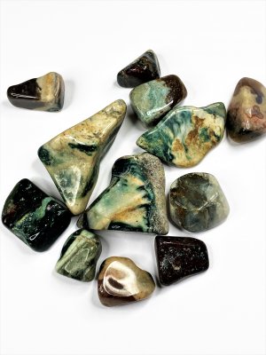 Eye of the Storm, (Judy's Jasper) Polished Big Pack