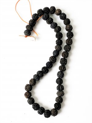 Rudraksha Frön, Sträng Mörka