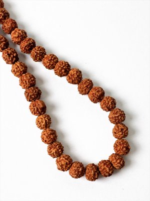Rudraksha Frön, Sträng Ljusa