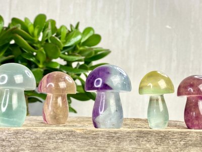 Fluorit, Multi Svampar XL