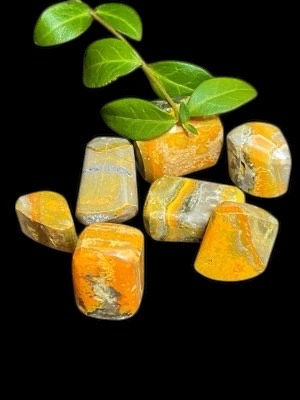 Jasper, Bumble bee Tumbled