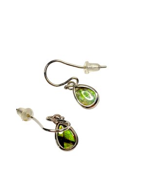 Ammolite, Earring Sterling silver