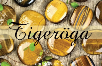 Tigeröga, informationskort