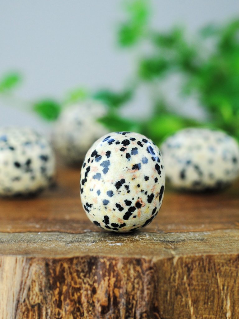 Product Image for Jaspis, Dalmatine Cuddle stone