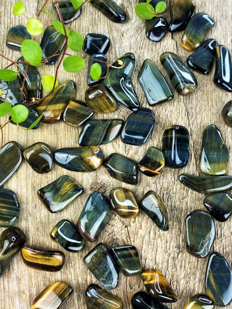Product Image for Falköga, Trumlade Små